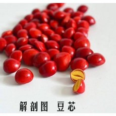 f1e17865d0733a1e4dbc4fce1be6d3f461f0f9c562ffa44c66d1346c7eb6.jpeg