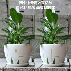 baa000cc3b24ced3397d9974a2efef6459d7c4689dc22a69c70e7e1b2046.jpg