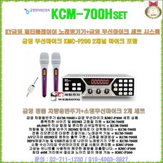 금영 차량용노래방반주기 KCM-700H/금영정품/HDMI고화질-USB재생/국내 최다곡/버스-승합차-승용차-캠핑카용 노래방가라오케/금영무선마이크 KMC-P200, 금영 KCM-700H+KMC-P200 SET