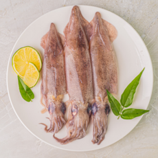 총알 한치 통찜용 급냉 뚱띠푸드, 6개, 500g