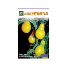 (DN) 노랑조롱 방울 토마토 씨앗(1000립)