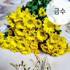 소국 한단 생화 꽃배달싼곳 흰색 핑크 노랑 소국꽃다발 꽃메일 생화택배, 노랑 (금수), 1개