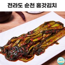 오늘반찬 홍갓김치 1kg 전라남도 순천 100% 국내산 개랭이 김치 주문