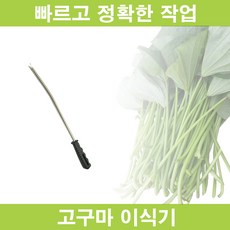 양파이식기