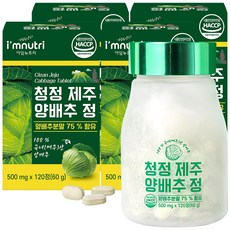 아임뉴트리 청정 제주 양배추환 양배추 정 500mg x 120정, 4개