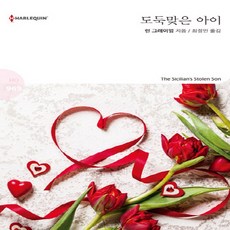 소설도둑맞은책