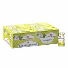 산펠레그리노 폼펠모 자몽 스파클링 음료 330ml 24캔, 1, 1