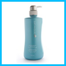 암웨이 새티니크 안티 댄드러프 샴푸 비듬두피샴푸, 750ml, 2개