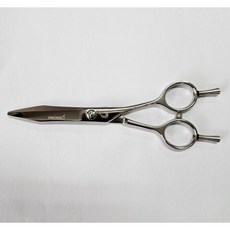 프로소 (Prosso) 헤어컷 전문가용 미용가위 5.5인치 안경손잡이 일본 440C 철판 실버, 1개