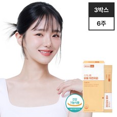 스키니랩 비움 차전자피 식이섬유 인절미맛 14포(2주분) 배변활동, 84g, 3개