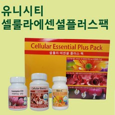지패드플러스팩
