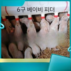 우유 급이기 분유 우유통 실리콘 가축젖병 수유 축산 새끼돼지, B. 빨간색 젖꼭지 포함, 1개