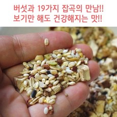 저탄잡곡