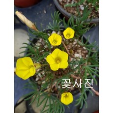 23fc0f8a926dc79b97b181bbfcd1006b5e810d6a8e23ccabcfe611cb2e8b.jpg