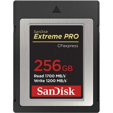 sandisk256gb익스트림프로cfexpress