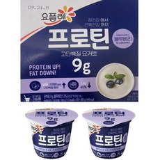 빙그레 요플레 프로틴 요거트 블루베리 100g