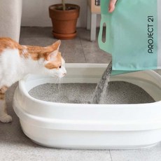  프로젝트21 먼지없는 고양이 모래 퓨어 벤토나이트 6kg, [25%↓] 2개(12kg) 