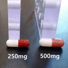 우리동네동물병원 500mg 캡슐고정판(20홀), 1개