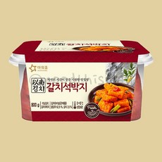 갈치김치