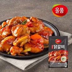 올품닭갈비