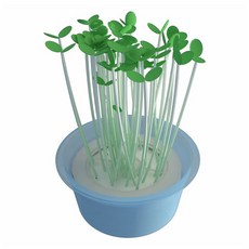 생명과학콩나물키우기