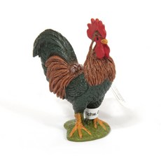 슐라이히강아지