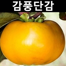 4f3fd85c2329e70f0b3d803a4e1d499511d3c830324a293feee35d54dd8c.jpg