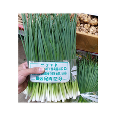 [당일손질] 부잣집 쪽파 깐쪽파 잔파 실파, 1개, 1kg