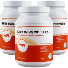 자주가게 분리 유청 단백질 WPI 락토프리 식약청 해썹 인증 대용량, 600g, 3개