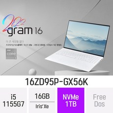 LG그램 16ZD95Q-GX56K i5/16GB/256GB/