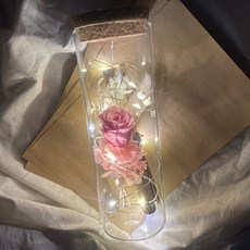 프렌치로즈 시들지않는꽃 LED유리병 편지지 세트, 핑크프리저브드플라워