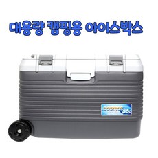 선상냉동갈치