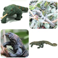 리보코모도왕도마뱀