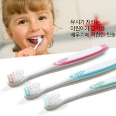 6살칫솔