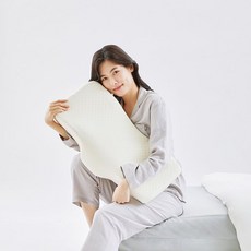 자생바이오베개