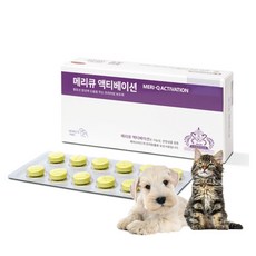 메리큐 액티베이션 60정 강아지 고양이 두뇌발달 영양제, 단품, 1개, 단품 - 메리큐액티베이션