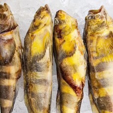 손질 임연수 이면수 반건조 냉동 구이 조림, 1개, 850g 내외(반건조)