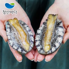 청산바다전복장콤보세트