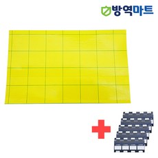 스카이글루