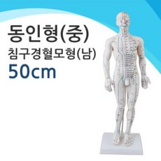 대구인형극