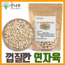 The큰나무 껍질깐 햇 연자육 1kg(500gx2봉)~, 2팩, 500g