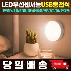 [당일배송] LED 무선센서등 USB충전식 미니자석부착형 현관 창고 옷장 수유등 출입문, DG충전식센서등 웜화이트
