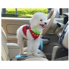 petlife (애완 동물 라이프) 애완 동물 용 안전 벨트 고양이 겸용 안전 벨트 장착 쉬운 2 색 "901-0007"(