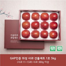 [명품] 저탄소 gap인증 사과세트1호 5kg(11~13입)/부직포가방 포함, 부직포포함, 1개