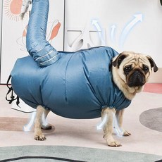 건조 반려돌 애완동물 가방 개 고양이 대형견 목욕 속건성 헤어 드라이기로 가방 용품 자동, 1개