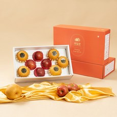 과일 혼합 선물세트 / 나주배 사과 황금향 한라봉 샤인머스켓 레드향 추석 설날 명절, 1box, 사과배 혼합 선물세트 1호(4kg 사과4/배5)