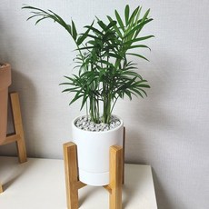 3a1cec240e040693ac7d8467f46c064490624925d19a44178186bb2cddda.jpg