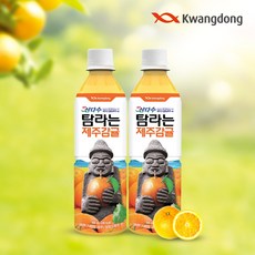 제주삼다수감귤주스