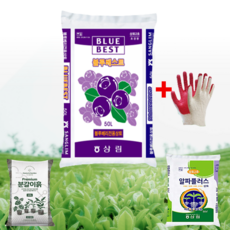 피트모스