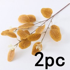 제주커피클래스